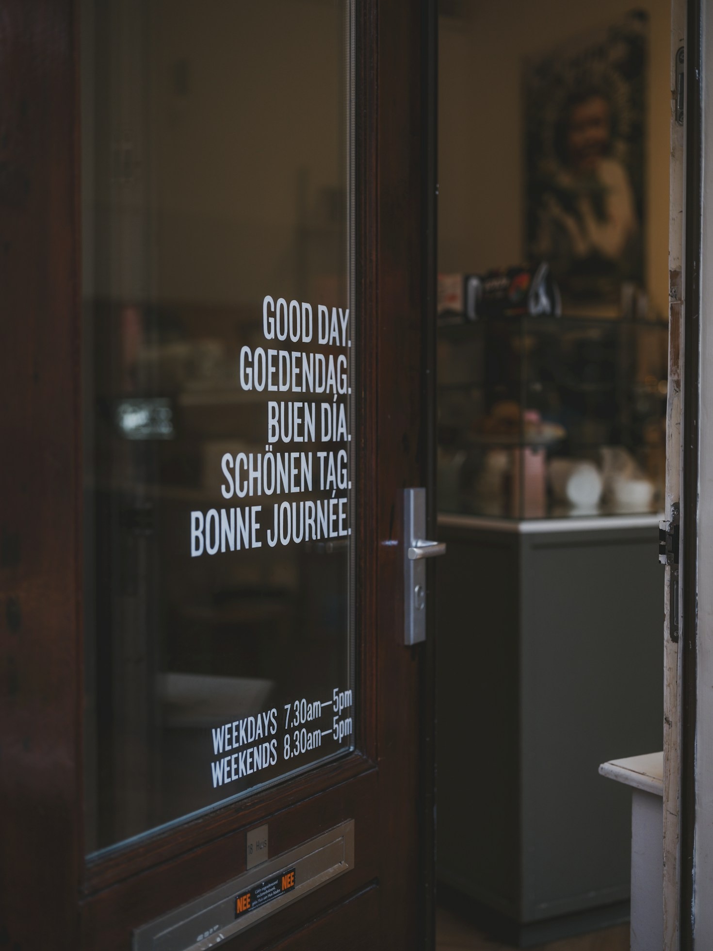 How Multilingual Reviews Enhance Global Understanding